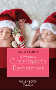 бесплатно читать книгу A Wyoming Christmas To Remember автора Melissa Senate