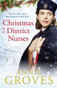 бесплатно читать книгу Christmas for the District Nurses автора Annie Groves