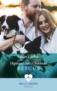 бесплатно читать книгу Highland Doc's Christmas Rescue автора Susan Carlisle