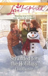 бесплатно читать книгу Stranded For The Holidays автора Lisa Carter