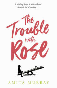 бесплатно читать книгу The Trouble with Rose автора Amita Murray
