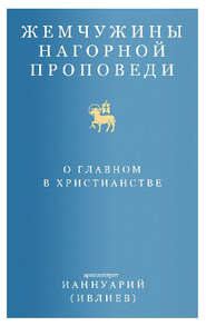 бесплатно читать книгу Жемчужины Нагорной проповеди. О главном в христианстве автора Архимандрит Ианнуарий (Ивлиев) Ианнуарий (Ивлиев)