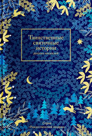 бесплатно читать книгу Таинственные святочные истории русских писателей автора  Сборник