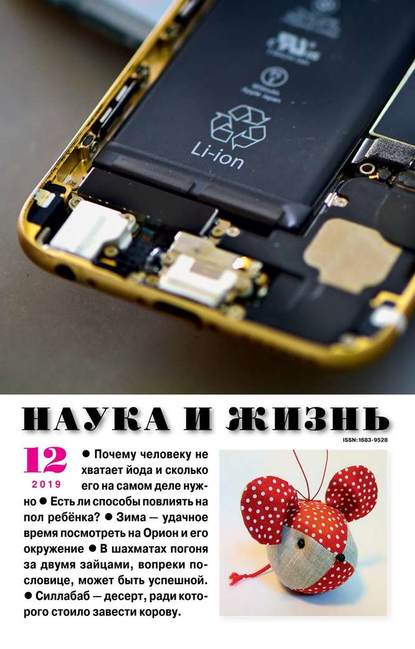 Наука и Жизнь 12-2019