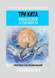 бесплатно читать книгу Три кита финансовой устойчивости. Практические рекомендации автора Мария Кудрявцева