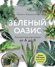 бесплатно читать книгу Зеленый оазис. Комнатные растения от А до Я автора Ирина Березкина
