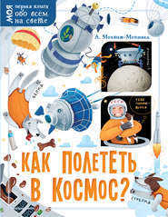бесплатно читать книгу Как полететь в космос? автора Александр Монвиж-Монтвид