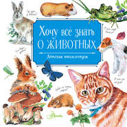 бесплатно читать книгу Хочу всё знать о животных автора Виталий Танасийчук