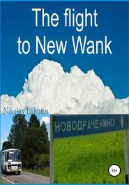 бесплатно читать книгу The flight to New Wank автора Nikolay Lakutin