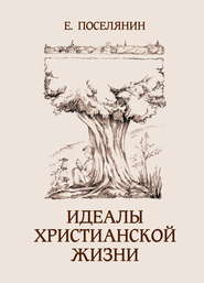 бесплатно читать книгу Идеалы христианской жизни автора Евгений Поселянин