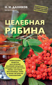 бесплатно читать книгу Целебная рябина автора Николай Даников