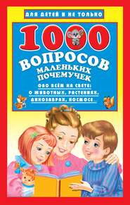 бесплатно читать книгу 1000 вопросов маленьких почемучек автора Наталья Бурцева
