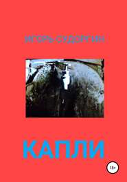 бесплатно читать книгу Капли автора Игорь Судоргин