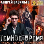 бесплатно читать книгу Темное время автора Андрей Васильев