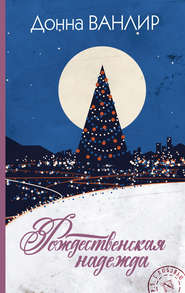 бесплатно читать книгу Рождественская надежда автора Донна Ванлир