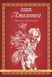 бесплатно читать книгу Амазонки автора Владимир Банцевич