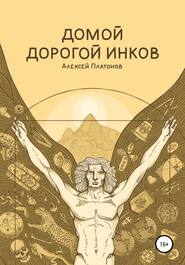 бесплатно читать книгу Домой дорогой инков автора Алексей Платонов