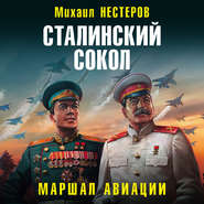 бесплатно читать книгу Сталинский сокол. Маршал авиации автора Михаил Нестеров