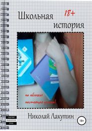 бесплатно читать книгу Школьная история автора Николай Лакутин
