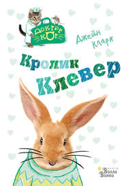 бесплатно читать книгу Кролик Клевер автора Джейн Кларк