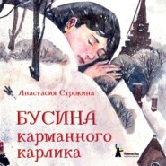 бесплатно читать книгу Бусина карманного карлика автора Анастасия Строкина