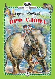 бесплатно читать книгу Про слона автора Борис Житков