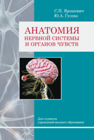 бесплатно читать книгу Анатомия нервной системы и органов чувств автора Станислав Ярошевич