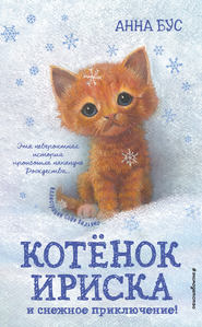бесплатно читать книгу Котёнок Ириска и снежное приключение! автора Анна Бус