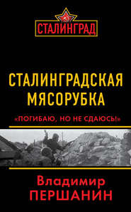 бесплатно читать книгу Сталинградская мясорубка. «Погибаю, но не сдаюсь!» автора Владимир Першанин