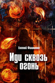 бесплатно читать книгу Иди сквозь огонь автора Евгений Филимонов