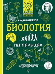 бесплатно читать книгу Биология на пальцах в иллюстрациях автора Андрей Шляхов