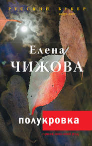 бесплатно читать книгу Полукровка автора Елена Чижова