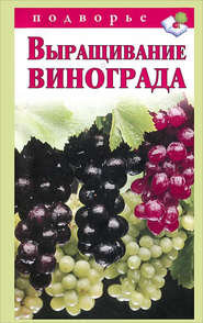 бесплатно читать книгу Выращивание винограда автора Виктор Горбунов