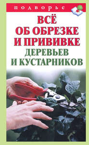 бесплатно читать книгу Всё об обрезке и прививке деревьев и кустарников автора Виктор Горбунов