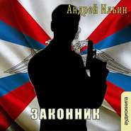 бесплатно читать книгу Законник автора Андрей Ильин