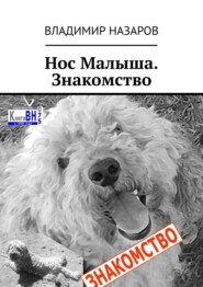 бесплатно читать книгу Нос Малыша. Знакомство автора Владимир Назаров