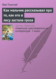 бесплатно читать книгу Как мальчик рассказывал про то, как его в лесу застала гроза автора Лев Толстой