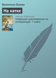 бесплатно читать книгу На катке автора Валентина Осеева