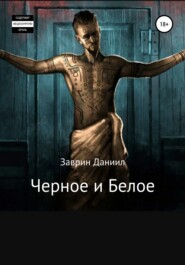 бесплатно читать книгу Черное и Белое автора Даниил Заврин