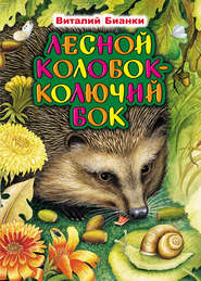 бесплатно читать книгу Лесной Колобок – Колючий Бок автора Виталий Бианки