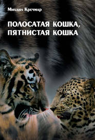 бесплатно читать книгу Полосатая кошка, пятнистая кошка автора Михаил Кречмар