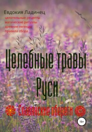 бесплатно читать книгу Целебные травы Руси автора Евдокия Ладинец