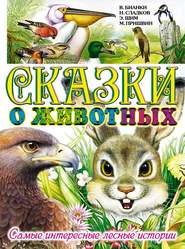 бесплатно читать книгу Сказки о животных. Самые интересные лесные истории автора Эдуард Шим
