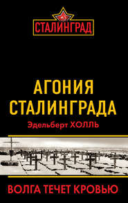 бесплатно читать книгу Агония Сталинграда. Волга течет кровью автора Эдельберт Холль