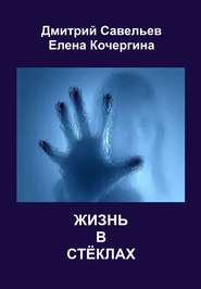 бесплатно читать книгу Жизнь в стёклах (сборник) автора Елена Кочергина