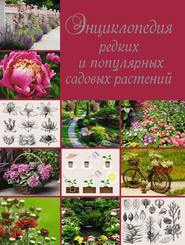 бесплатно читать книгу Энциклопедия редких и популярных садовых растений автора Ольга Яковлева