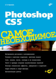 бесплатно читать книгу Photoshop CS5 автора Софья Скрылина
