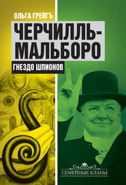 бесплатно читать книгу Черчилль-Мальборо. Гнездо шпионов автора Ольга Грейгъ
