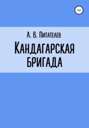 бесплатно читать книгу Кандагарская бригада автора А. Питателев