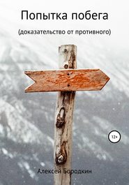бесплатно читать книгу Попытка побега автора Алексей Бородкин